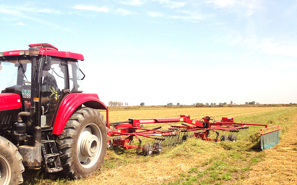 標(biāo)題：9LSQ-5.3型多功能水平旋轉(zhuǎn)摟草機(jī)
瀏覽次數(shù)：46
發(fā)表時(shí)間：2023-12-12