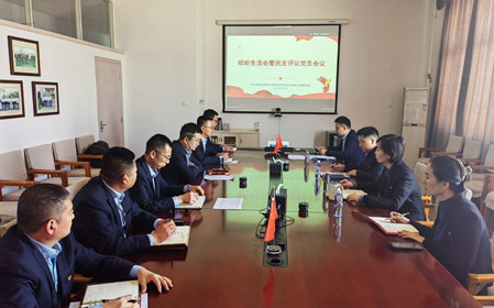 標題：銷售黨支部召開組織生活會暨民主評議黨員會議
瀏覽次數(shù)：1039
發(fā)表時間：2025-02-26